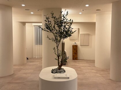 アディクト 中目黒店(ADDICT)の写真