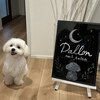 Dallon nail salonのお店ロゴ