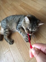 リセットステーション/売上の一部を募金に