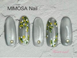 4月限定★ミモザ☆