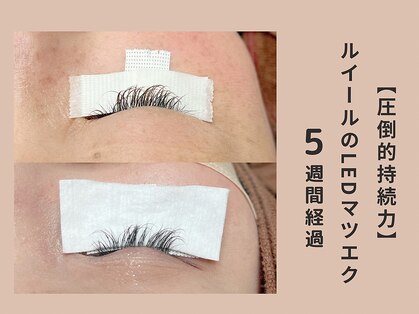 ルイール 光の森(Luire)の写真