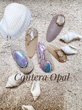 アマリネ(Amarine)/カンテラオパールネイル