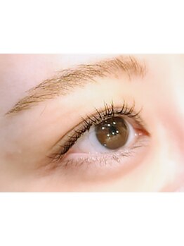 初めての方にオススメ