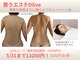 オリーブ(Olive)の写真