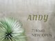 ANDY　【アンディ】の写真