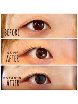 アイラッシュマルヴァ(Eye Lash Malva)/立ち上げとカールの比較