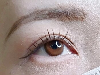 ラシク ベル(Lashiku Belle)/フラットラッシュ100本!