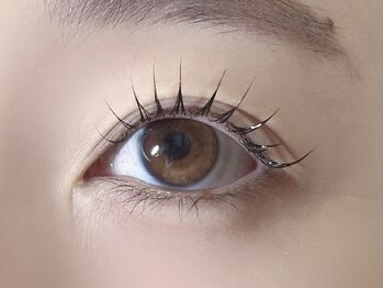 ミイプ(MEPP)/たにわき担当・ラッシュリフト