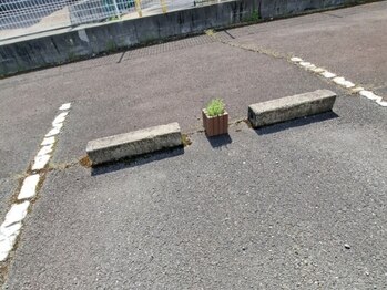 レアリゼ(realiser)/駐車場は８番です！