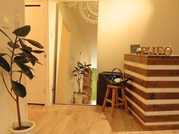サロン プエオ(salon pueo)/サロン内観１