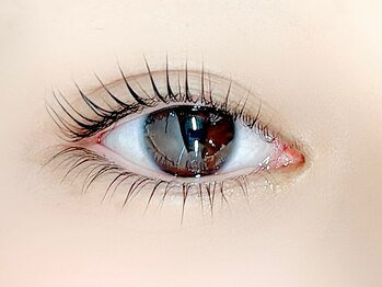 ファストラッシュ 表参道店(FAST LASH)の写真/健康的なまつげをキープ!トリプルトリートメント込み★パリジェンヌラッシュリフト上下7400円