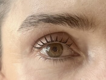 ハリウッドブロウリフト ワクシー 下北沢店(HOLLYWOOD BROW LIFT WAXYYY.)/パリジェンヌラッシュリフト