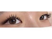 ダリア(Dahlia)/バインドロック１２０束★