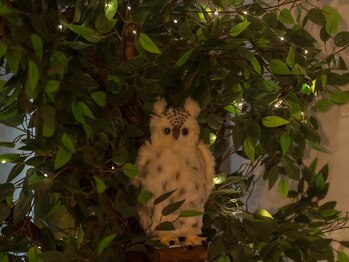 ジェムの森/店内風景