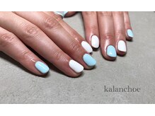 カランコエ(Kalanchoe)/