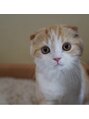 ラ シエロ(LA CIELO) お家で猫ちゃん飼ってます！名前はマイケルくんです！