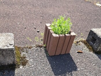 レアリゼ(realiser)/こんな感じです！