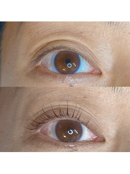 ボニータ(BONITA)/