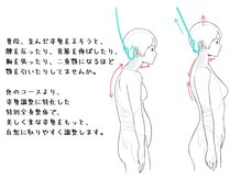 整体家 シン(Shin)/特別整体と他コースとの違い