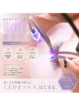 ツリー(tree)の写真/LEDマツエク人気です!