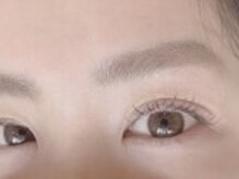 ソファー 国分寺(sofa)/フラットラッシュカラー120本