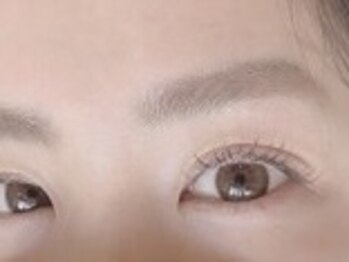 ソファー 国分寺(sofa)/フラットラッシュカラー120本