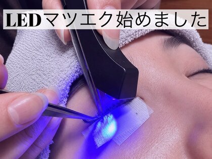 アイラッシュラボ イエロー(eyelash lab yellow)の写真