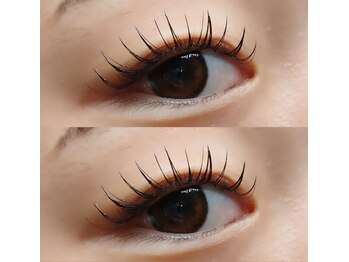 メイズ(May's)/フラットラッシュ140本