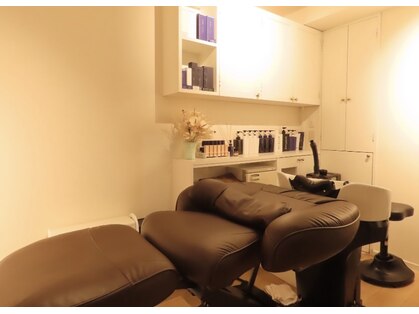 カンナ(CANNA)の写真