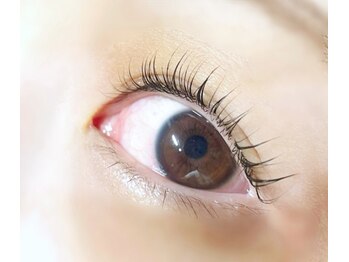 ルートル(Loutre)/まつ毛パーマ☆