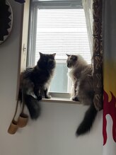 糸色 十色/左・木ちゃん、右・來ちゃん^^