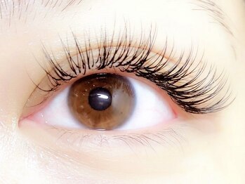 ココラッシュ 上野御徒町(cocolash)の写真/豊富な知識と高い技術を誇る実績サロン★まつ毛の専門店ならではのモチの良さをぜひ体感して下さい♪