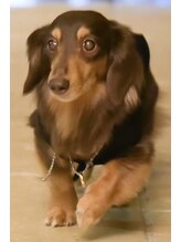 キキネイル 二子玉川(kikinail)&nbsp;とことこ とんちゃん