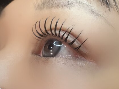 フリー#240(Free#240)の写真