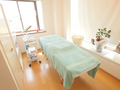 イロドリの写真