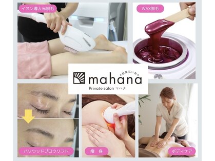 マハナ(mahana)の写真