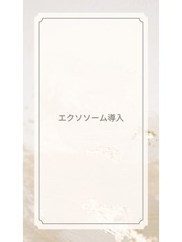 シャンディ(Shandy)/