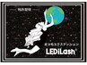 ◎LEDエクステ　ボリュームラッシュ100束　★光硬化　¥12452→¥9339