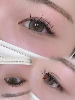 アテプラス(ate+)/フラットラッシュ120本