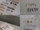 プチナノ(petitnano)の写真