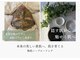 シキ(shiki)の写真