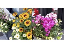 ポーラ ザ ビューティ 霧島店(POLA THE BEAUTY)の雰囲気（季節のお花で、お客様を、お迎えします）
