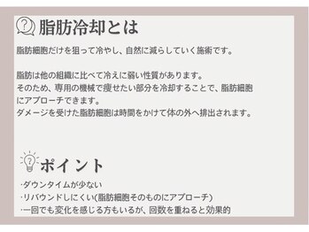 サロン ド パーフェクション(Salon de Perfection)/脂肪冷却