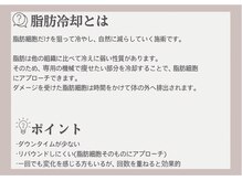 サロン ド パーフェクション(Salon de Perfection)/脂肪冷却