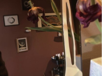 ポット(pot)の写真