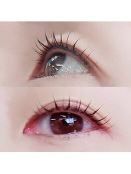 アーティストシーナ/シェル