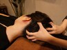 身体ほぐしとドライヘッドスパ★１２０分セット13200円⇒10400円！(全身・頭)
