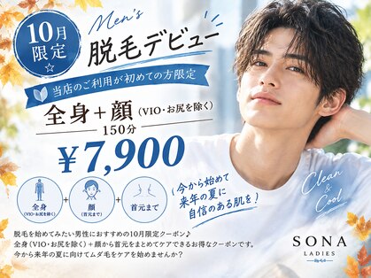 ソナ(SONA)の写真