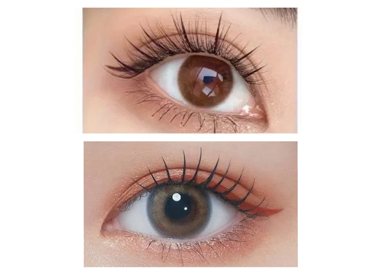 Flap eyelashes】FFMatte 4色ブラウン[下まつげMIX]の通販