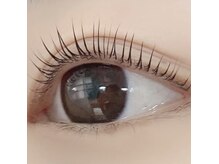 ラッシュラッシュ イーストモール店(Lash Rush)/まつ毛パーマ(フラット)